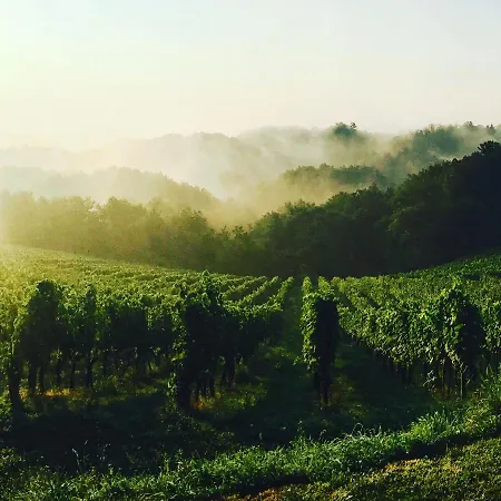 Farm stay Turisticna Kmetija Pungracic *