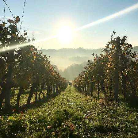 Farm stay Turisticna Kmetija Pungracic