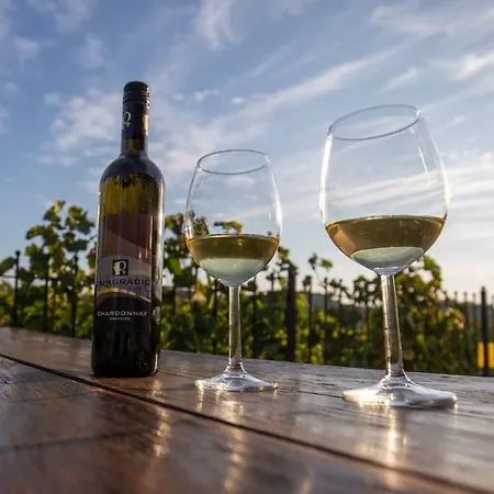 Farm stay Turisticna Kmetija Pungracic *