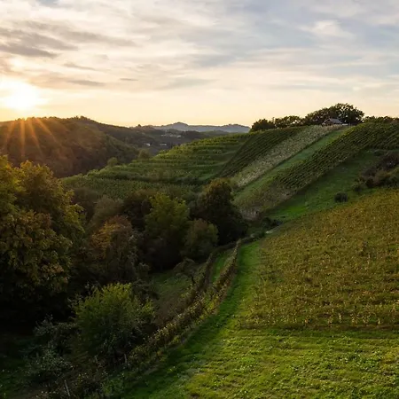 Turisticna Kmetija Pungracic *