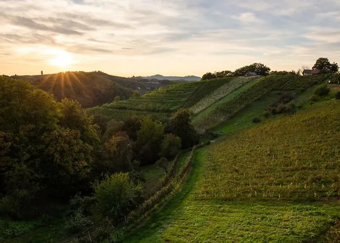 Turisticna Kmetija Pungracic *